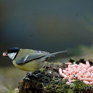 Suet To Go - Suet Pellets Berry, 12.55kg Box